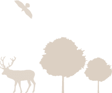 background silhouette 02