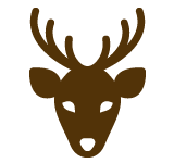 trees icon